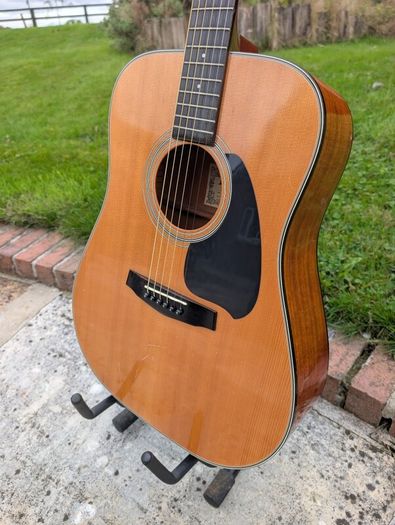 Ibanez PF10 Acoustic Guitar