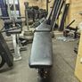 Primal Strenght FID Bench Image 5
