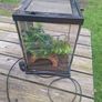 Terrarium with heater Image 3