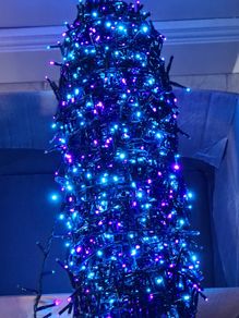 5000 Premier Christmas lights. Damaged.