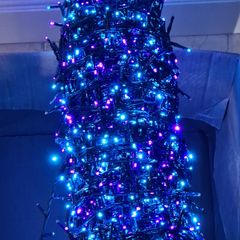 5000 Premier Christmas lights. Damaged.