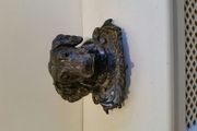 Bronze Irish Setter Inkwell