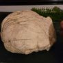 marine rocks Image 3