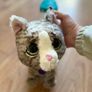 Toy cat Image 2