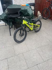 20 Inch kids bike needs tlc