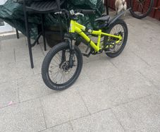 20 Inch kids bike needs tlc
