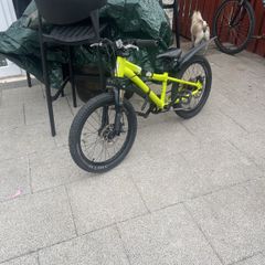 20 Inch kids bike needs tlc