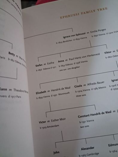 The Hare with Amber Eyes / Edmund De Waal / Illustrated/ 2011