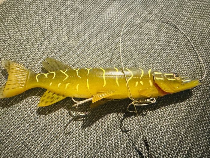 Fishing Lure