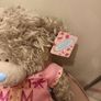 Mothers day large teddy Image 3