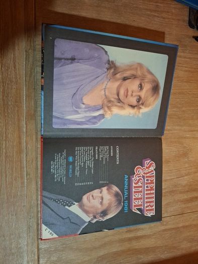 Sapphire & Steel Annual 1981 Comic Rare and Collectible