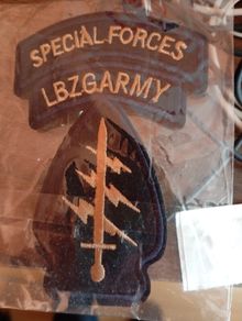 airborne special forces patch.
