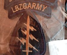 airborne special forces patch.