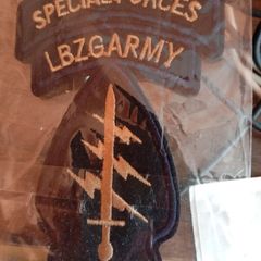 airborne special forces patch.