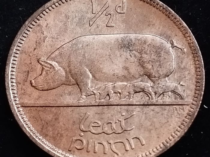 Ireland - 1966 - Half Penny - Sow - UNC - KM.10 - [2028]