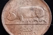 Ireland - 1966 - Half Penny - Sow - UNC - KM.10 - [2028]