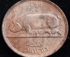 Ireland - 1966 - Half Penny - Sow - UNC - KM.10 - [2028]