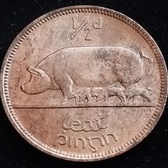 Ireland - 1966 - Half Penny - Sow - UNC - KM.10 - [2028]