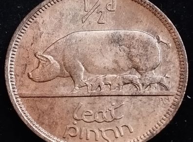 Ireland - 1966 - Half Penny - Sow - UNC - KM.10 - [2028]