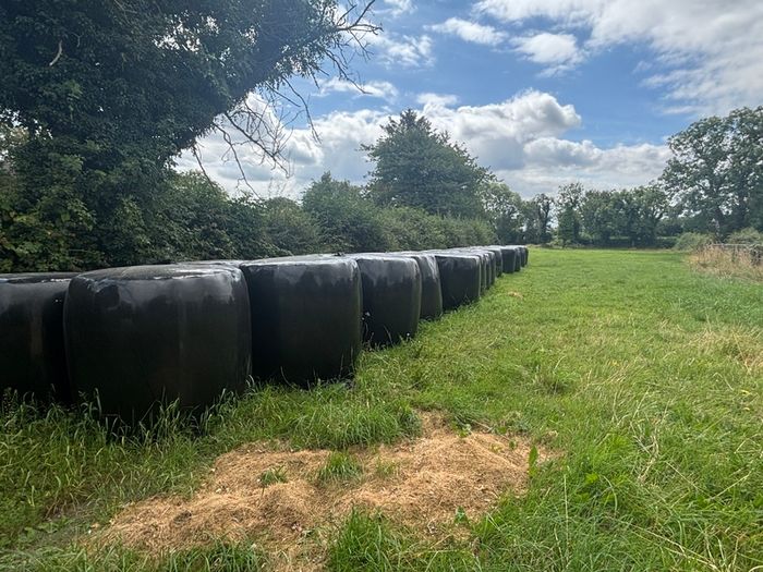 45 bales of silage