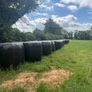 45 bales of silage Image 3