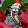 Vintage 0.66ct Diamond Cluster Leaf Ring - 18ct White Gold Image 6