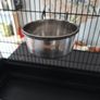 Bird cage Image 4