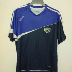 laois gaa jersey