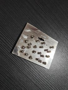 stud earrings
