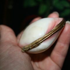 Vintage Genuine Clam Shell Compact Beautiful 2,4"