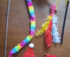 Cat Toys Bundle