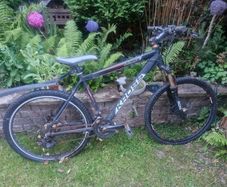 Mens Bike
