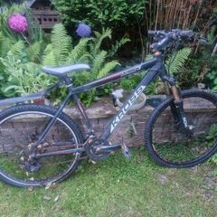 Mens Bike