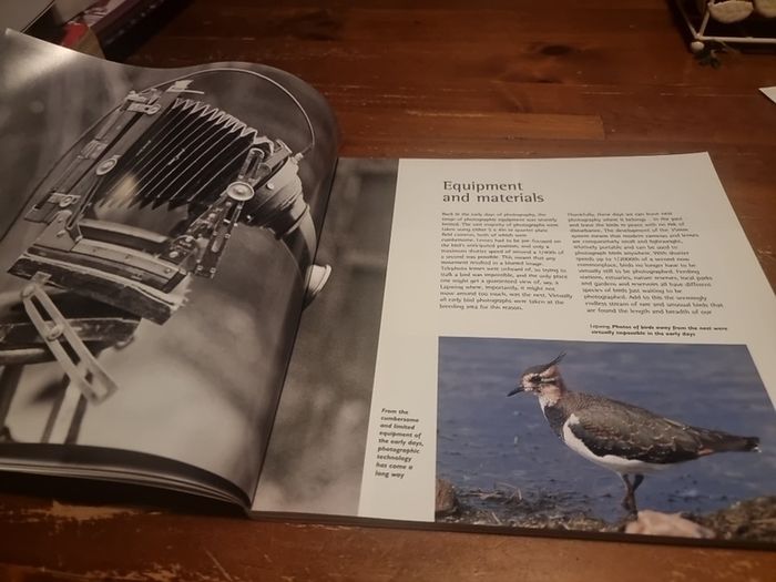 An Essential Guide to Bird Photography (Paperback)