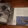 An Essential Guide to Bird Photography (Paperback) Image 5