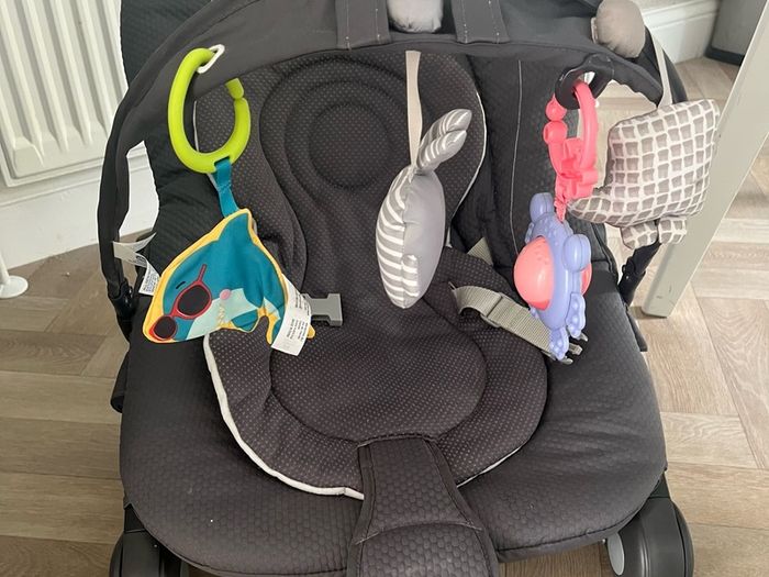 Baby bouncer