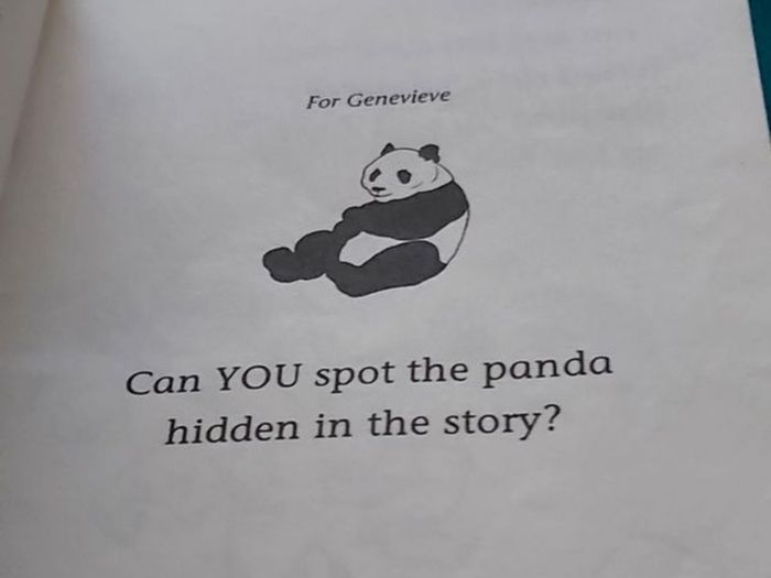 O Brien Panda's  (Book 19)