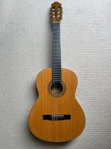 Guitar - Lenora