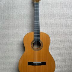 Guitar - Lenora
