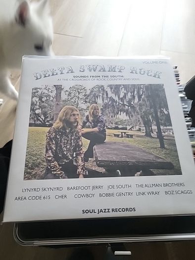 Delta Swamp Rock volume one 2 vinyl