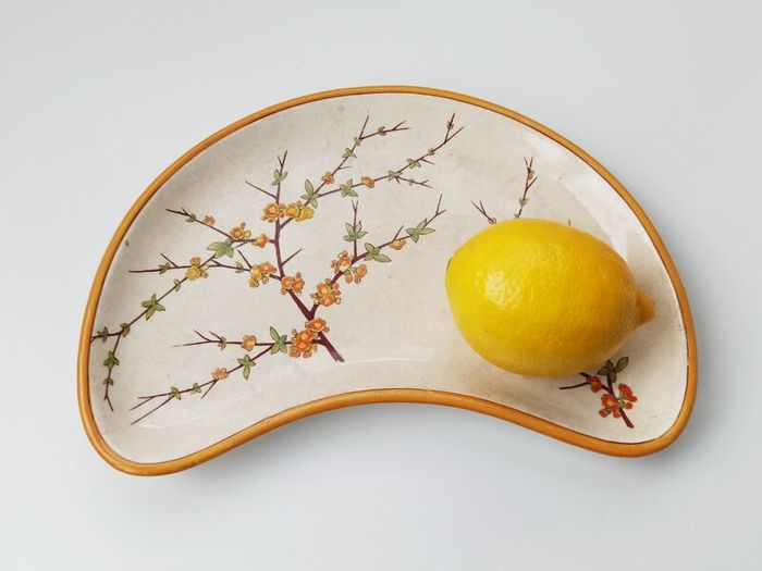 Antique Wedgwood Kidney shape plates with different blossom branches 4 pcs