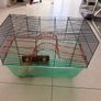 Gerbil/hamster cage Image 2