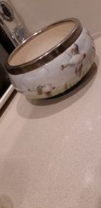 Antique Shorter & Son Staffordshire 7" hand painted Ceramic Ducks Bowl with Silver Rim