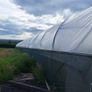 Polytunnels Image 10