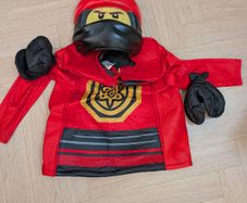 Halloween fancy dress