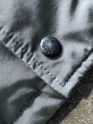 canada goose