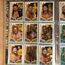 WWE Slam Attax Mayhem Binder 2010 Image 6