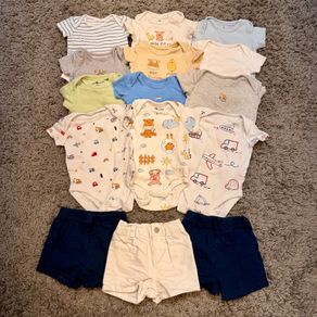 Bundle of 12 short sleeve body suits and 3 shorts