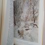 The Wind in the Willows by Kenneth Grahame. Illustrated by Arthur Rackham (PT170) Image 6