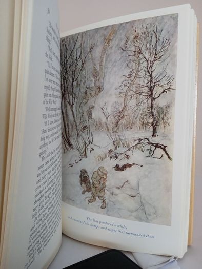 The Wind in the Willows by Kenneth Grahame. Illustrated by Arthur Rackham (PT170)